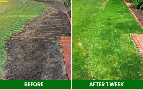 🏆Official Store | 🌟 Few Stocks Available🌟AEXZR®  Compostable Lawn Grow Mat 🔥Hot Sale - 50% OFF🌿