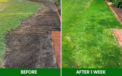 🏆Official Store | 🌟 Few Stocks Available🌟AEXZR®  Compostable Lawn Grow Mat 🔥Hot Sale - 50% OFF🌿