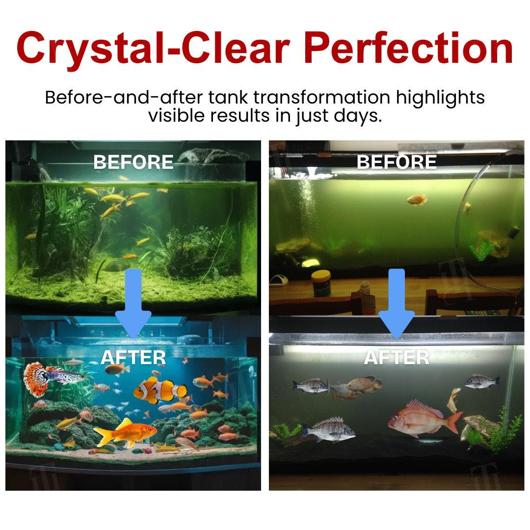 🌟 Official Store |🔥Hot Sale - 50% OFF🌿AEXZR® AquaImmune Pro