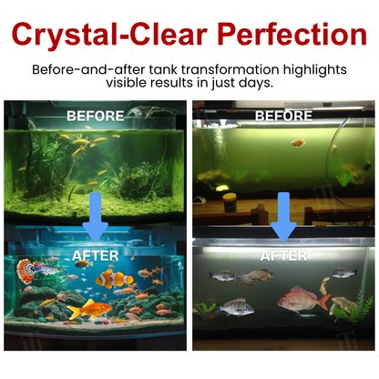 🌟 Official Store |🔥Hot Sale - 50% OFF🌿AEXZR® AquaImmune Pro