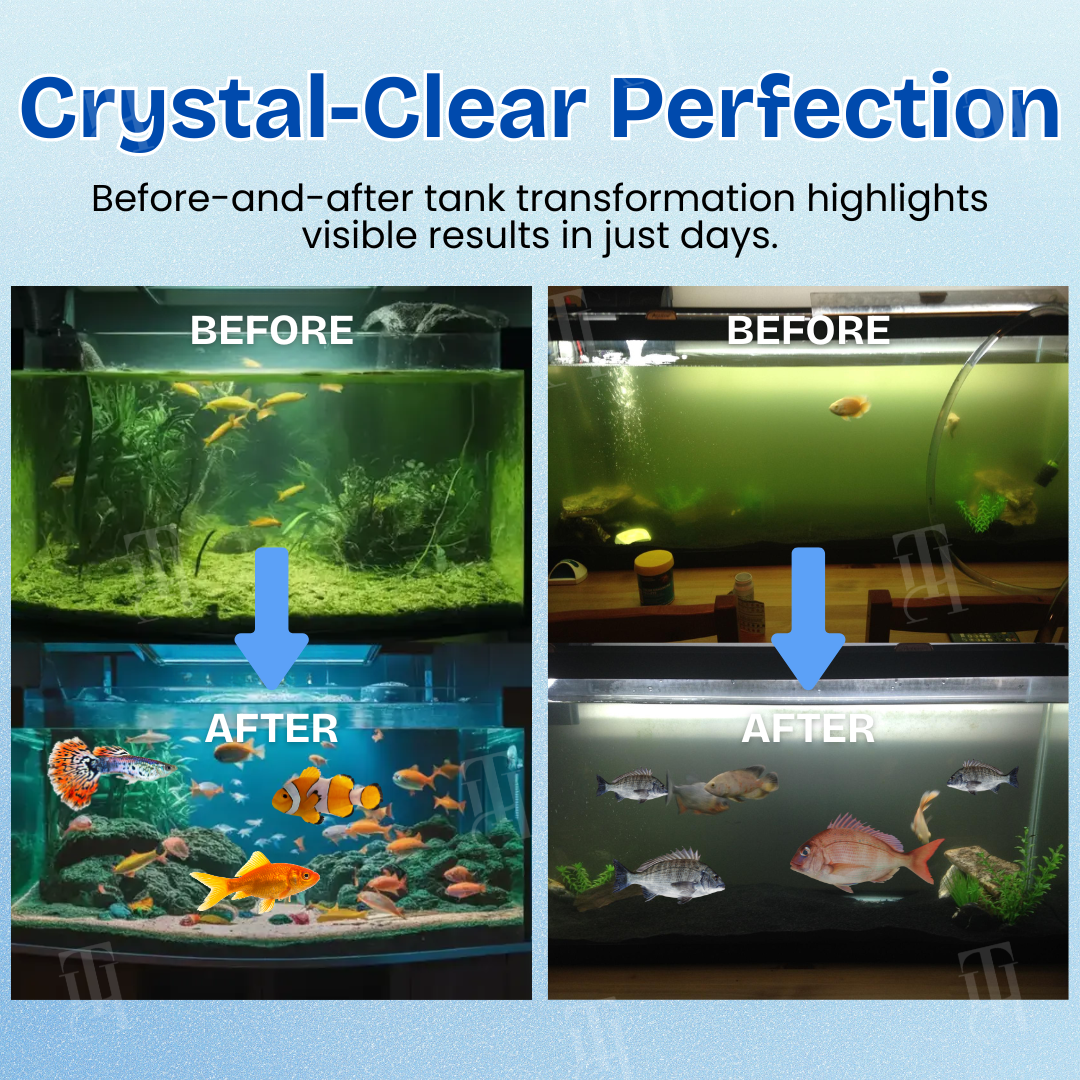 🌟 Official Store |🔥Hot Sale - 50% OFF🌿AEXZR® Aquariums Aqua-Guardian Blend