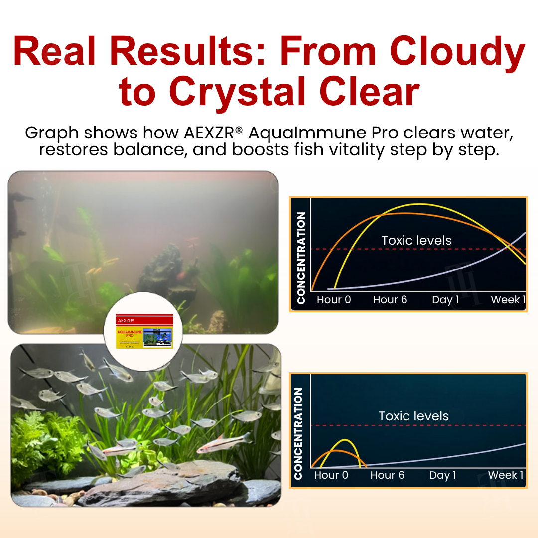 🌟 Official Store |🔥Hot Sale - 50% OFF🌿AEXZR® AquaImmune Pro