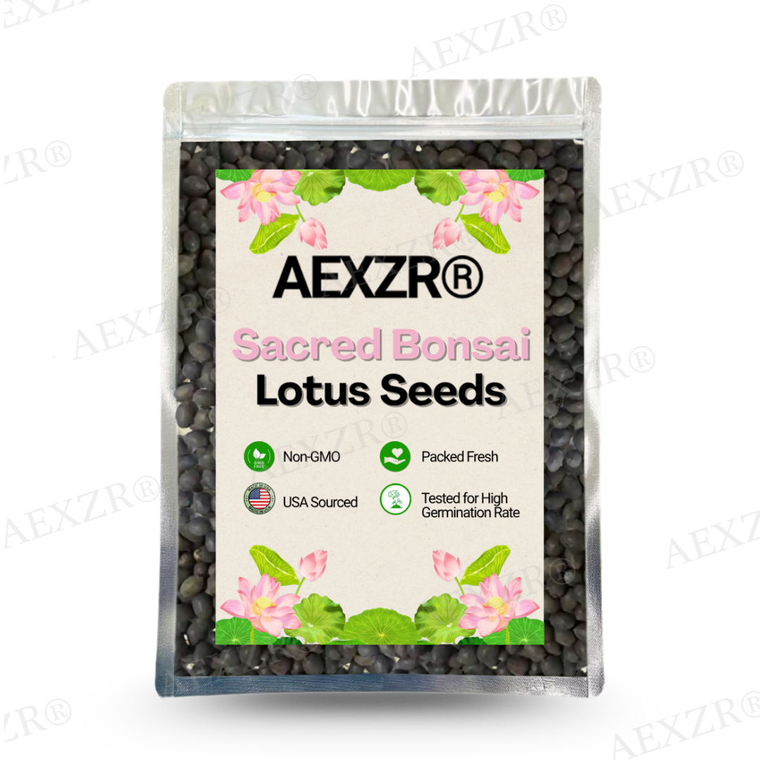 🌟 Official Store |Few Stocks Left🔥Hot Sale - 50% OFF🌿AEXZR® Sacred Bonsai Lotus Seeds