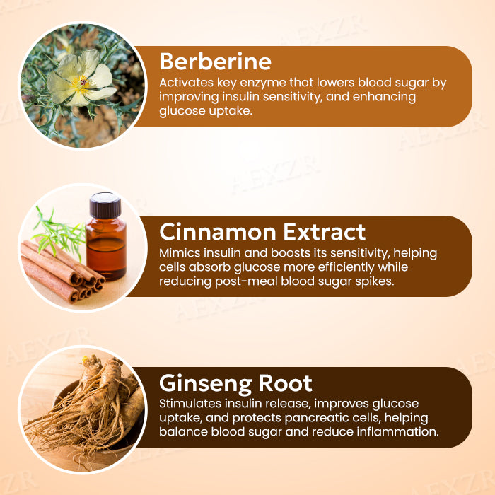 🌟 Official Store | AAFQ® Diabetic Patch – 🔥Your Natural Solution for Blood Sugar Control!🔥