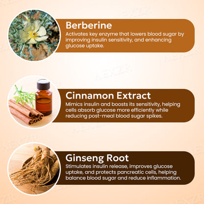 🌟 Official Store | AAFQ® Diabetic Patch – 🔥Your Natural Solution for Blood Sugar Control!🔥