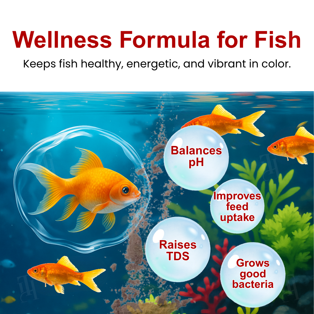 🌟 Official Store |🔥Hot Sale - 50% OFF🌿AEXZR® AquaImmune Pro