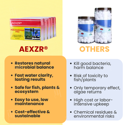 🌟 Official Store |🔥Hot Sale - 50% OFF🌿AEXZR® AquaImmune Pro
